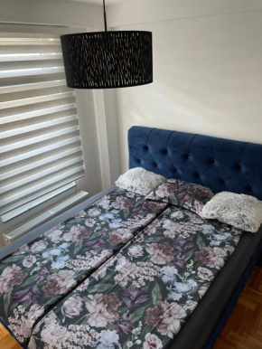 Apartman city center 4